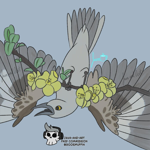 Mockingbird for @gooiemuffin.bsky.social